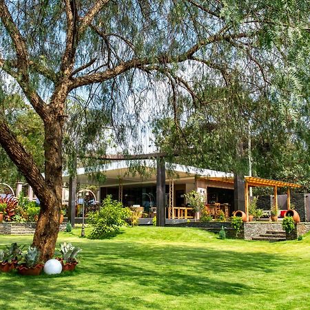 Kinga Homes Boutique Hotel Моши Экстерьер фото